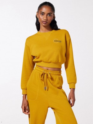 Savage X Fenty Xssential Scope Logo Cropped Yellow USA | 694-UGWSJO