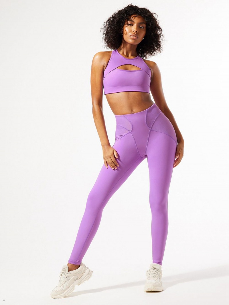 Savage X Fenty Curve Alert High-Waist Rib Purple USA | 035-XIYPQH