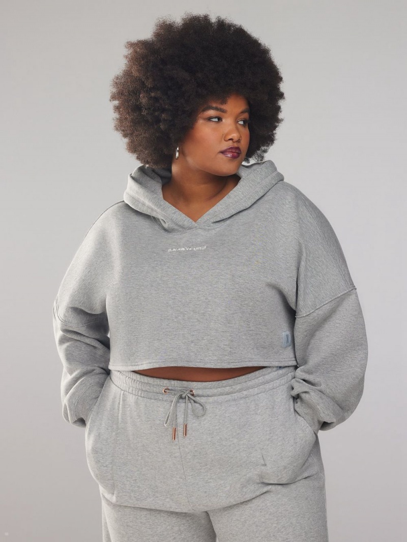 Savage X Fenty Xssential Cropped With Logo Grey USA | 294-DLBAQG